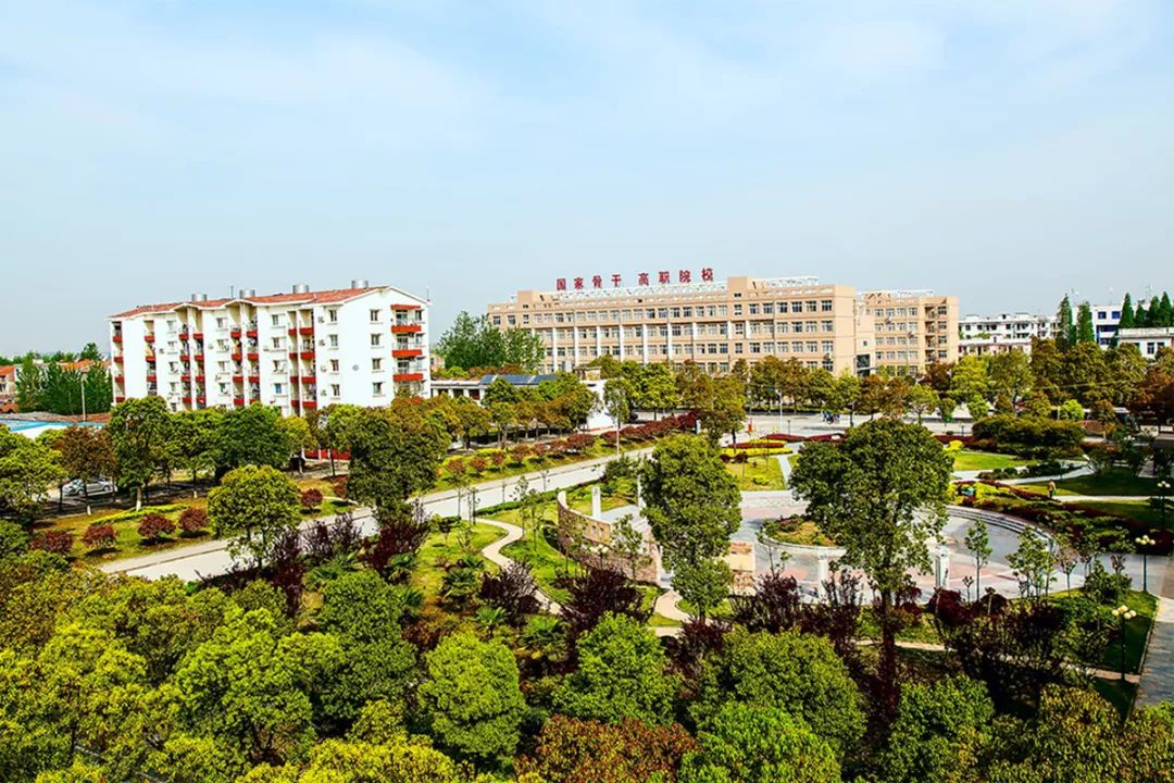 201909181******21971.jpg