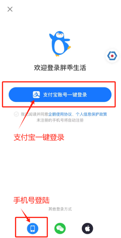 6b17a5ecf01541c6a702404e49e7230a.Png
