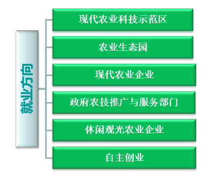 88c70ba2de534d63b07ff1cb69fddbdb.Png