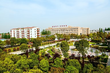 校园四季