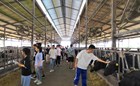 畜牧兽医专业